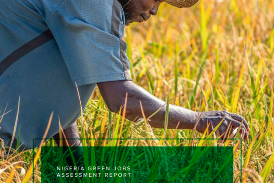 Measuring the Socioeconomic Impacts of Climate Policies to Guide NDC Enhancement and a Just Transition