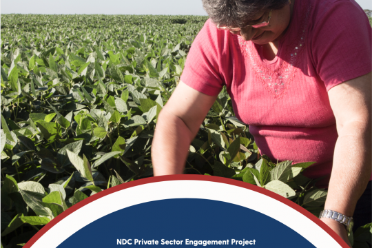 Paraguay private sector investment potential in agriculture sector
