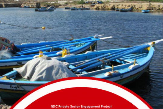 Assessment of private sector investment potential for the water sector in coastal areas