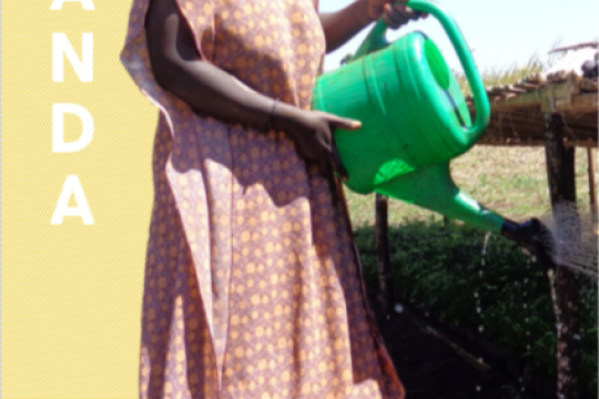 Uganda Gender Analysis