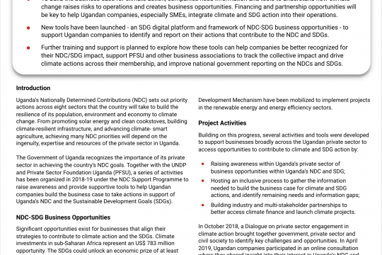 Uganda Policy Brief - Private Sector Engagement