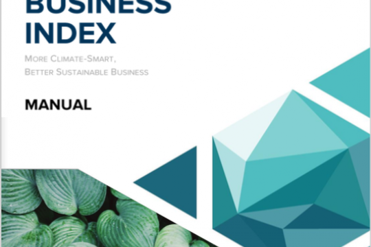 Viet Nam Climate Business Index Manual