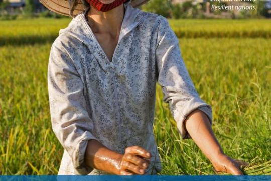 Viet Nam Gender Adaptation Brief