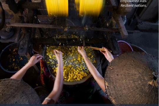 Empowering Women and Delivering Electricity Access to the Off-Grid Population in Viet Na