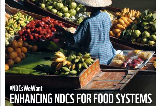 Enhancing NDCS For Food Systems: Recommendations for Decision-Makers