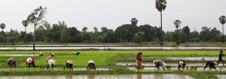 Lao PDR | Climate Promise