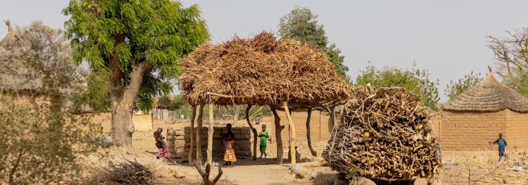 Cameroon Climate Promise   UNDP Cameroon 2020 Youth Peace 7927 