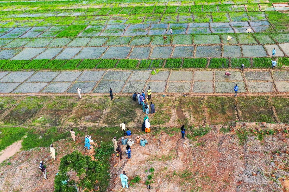 Agricultores en un campo en Nigeria