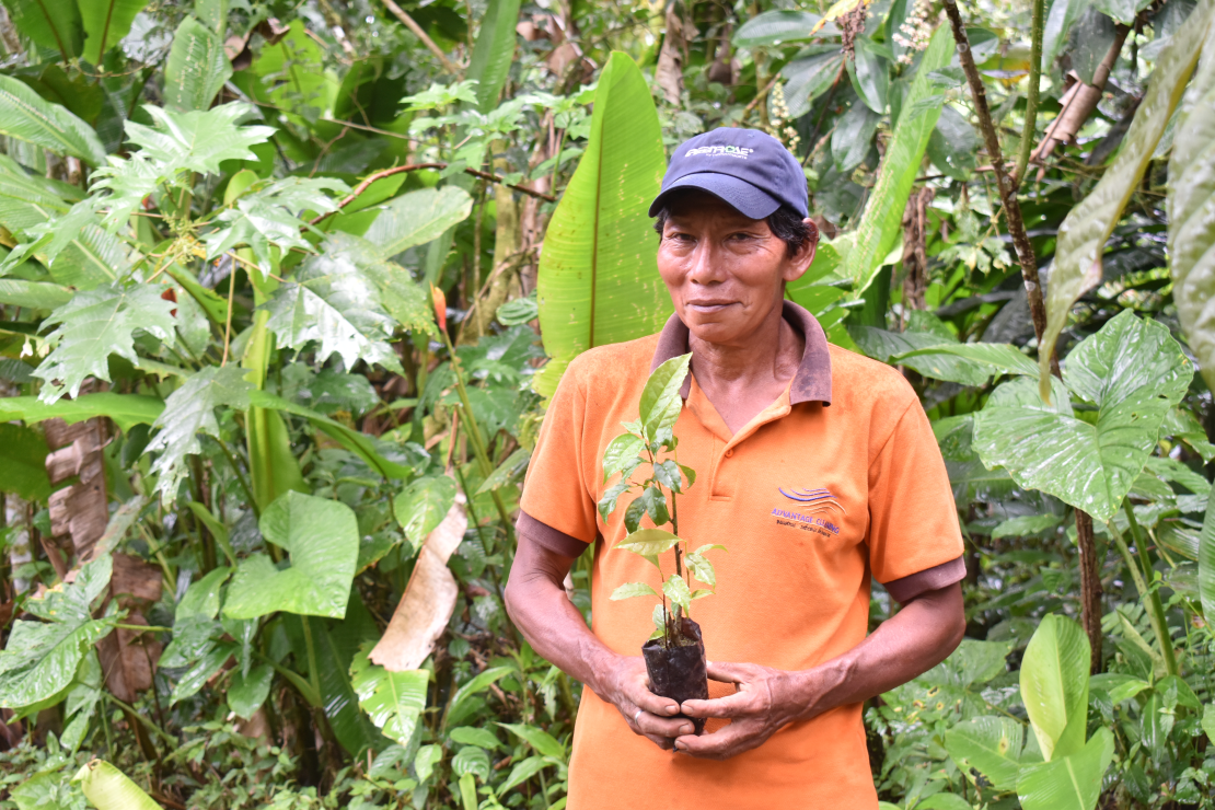 Forest restoration and monitoring in Ecuador