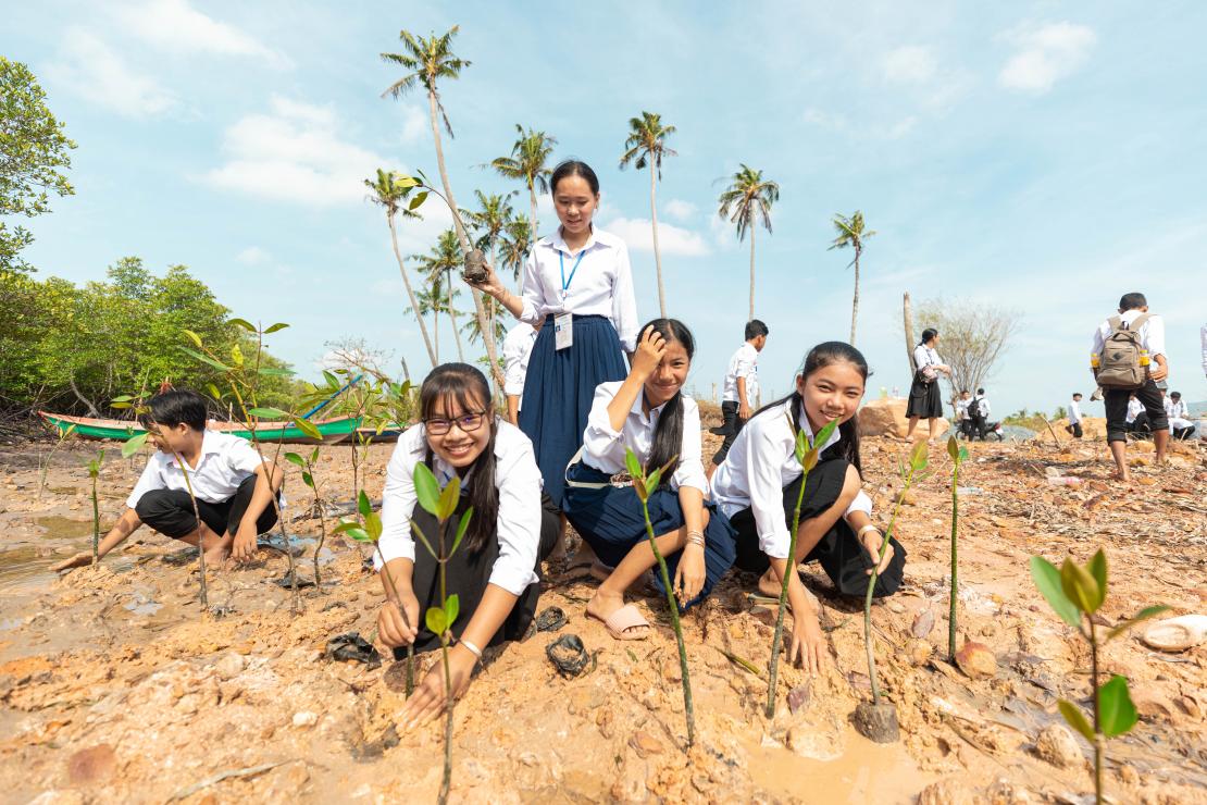 Niños plantando manglares en Camboya