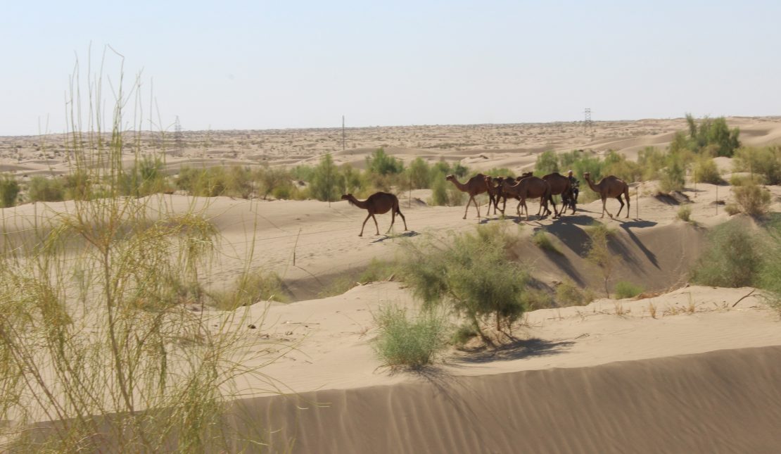 The Government of Turkmenistan updated the Nationally Determined Contributions, upping ambition to tackle climate change.