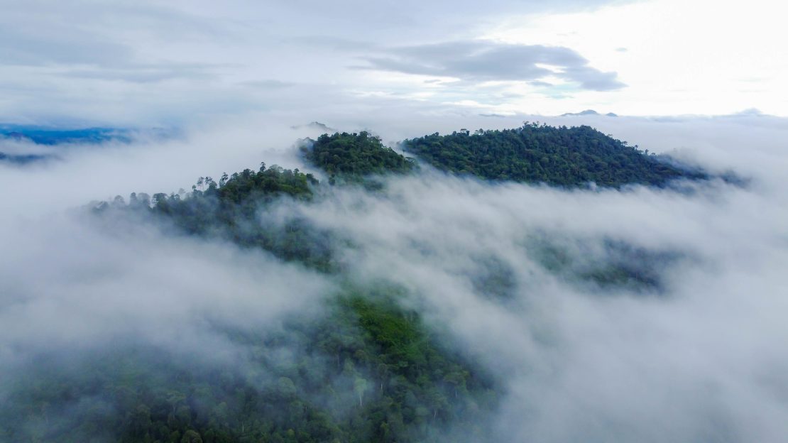 Photo: KalFor Project / UNDP Indonesia