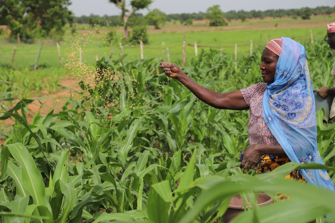 A gallery of innovative grassroots adaptation solutions