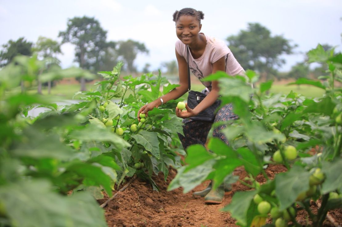 A woman gardening in Côte d'Ivoire