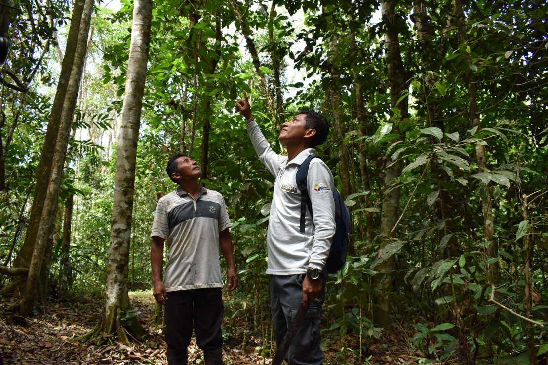 Dos personas monitorean un bosque en Ecuador