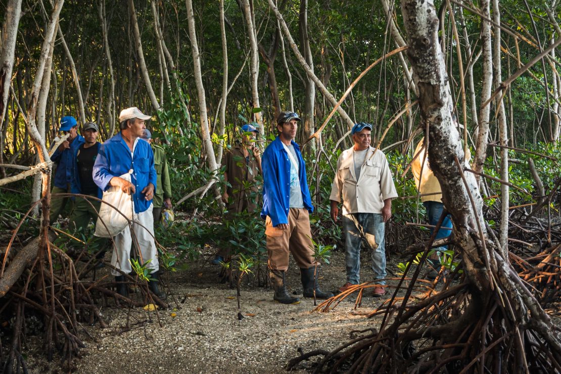 How Cuba's coastal communities are adapting to climate change