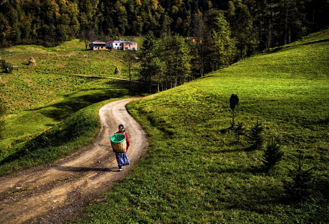 Escena rural en Turquía