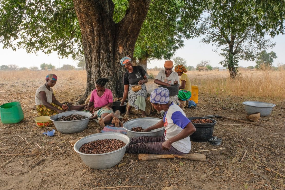 Shea contributes to women’s economic empowerment in Ghana