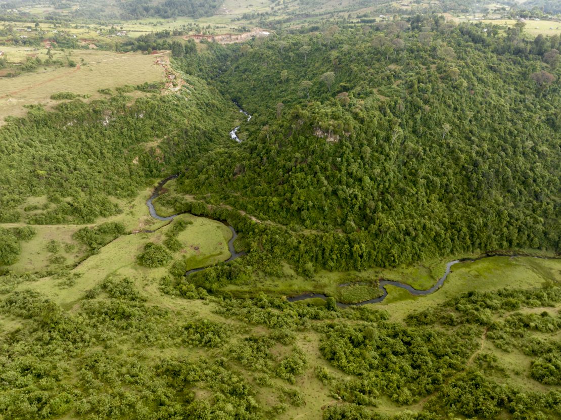 Aerial view of the Kaptagat forest in Kenya. 