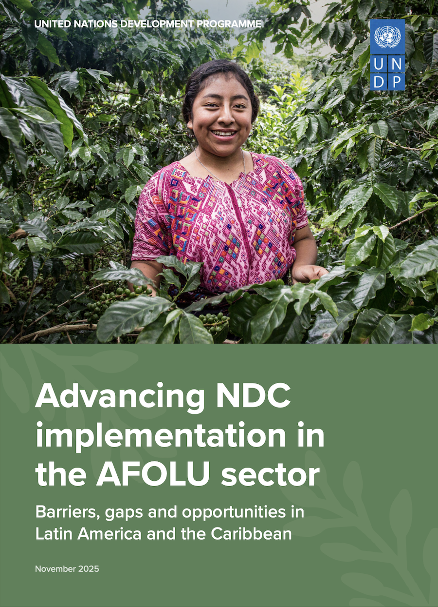 Advancing NDC implementation in the AFOLU sector