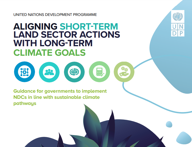 Aligning Short-Term Land Sector Actions with Long-Term Climate Goals