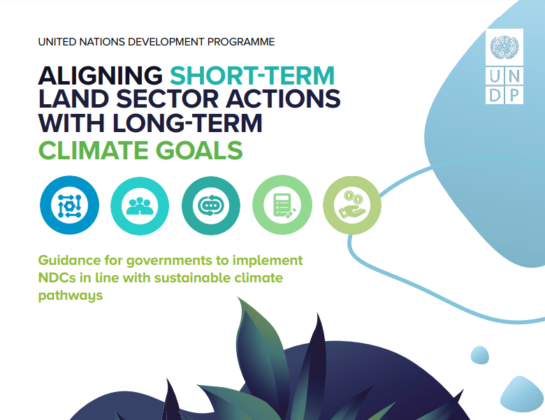 Aligning Short-Term Land Sector Actions with Long-Term Climate Goals 