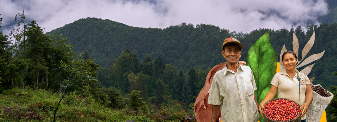 Café sostenible y libre de deforestación