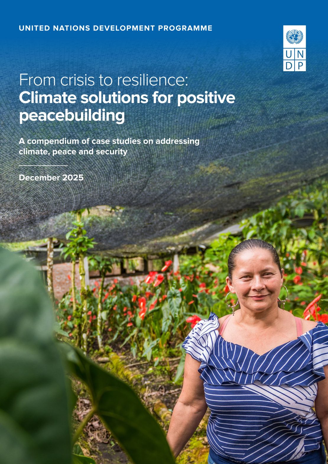 From crisis to resilience: Climate solutions for positive peacebuilding