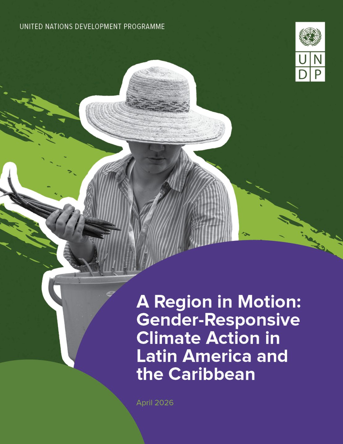  A Region in Motion: Gender-Responsive Climate Action in Latin America and the Caribbean 