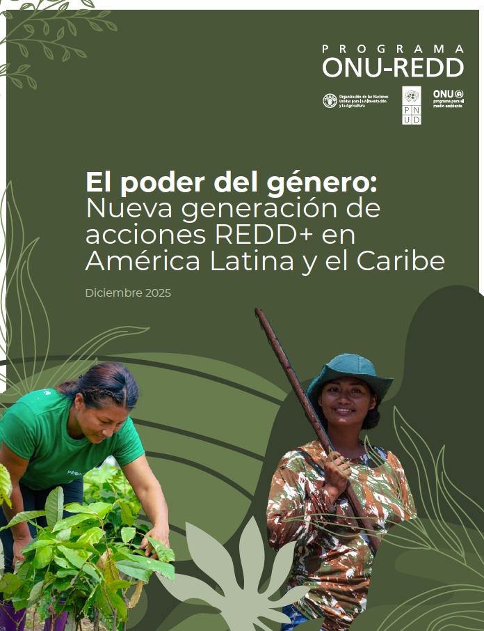 El poder del género: Nueva generación de acciónes REDD+ en América Latina y el Caribe