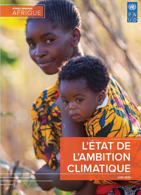 Etat ambition climatique Afrique