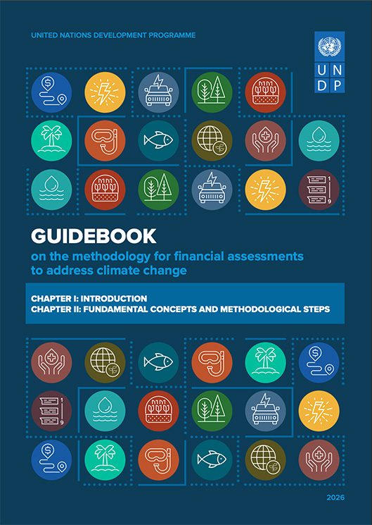 UNDP methodology for assessing Investment and Financial Flows