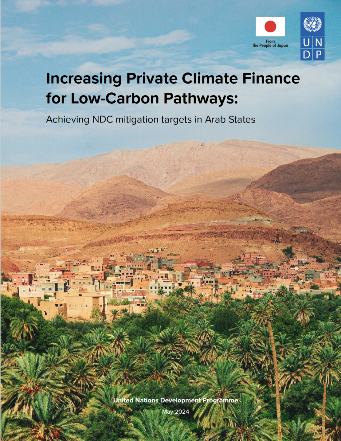 Increasing private climate finance for low-carbon pathways: Achieving NDC mitigation targets in Arab States