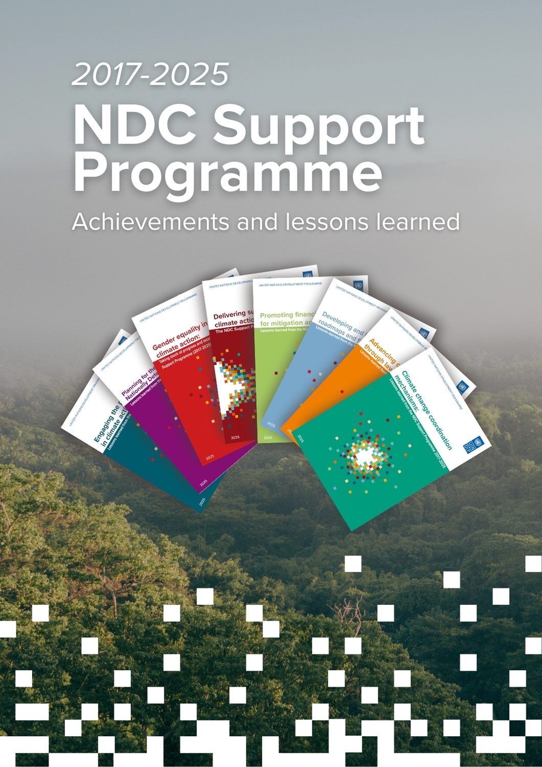 Nationally Determined Contribution Support Programme – achievements and lessons learned