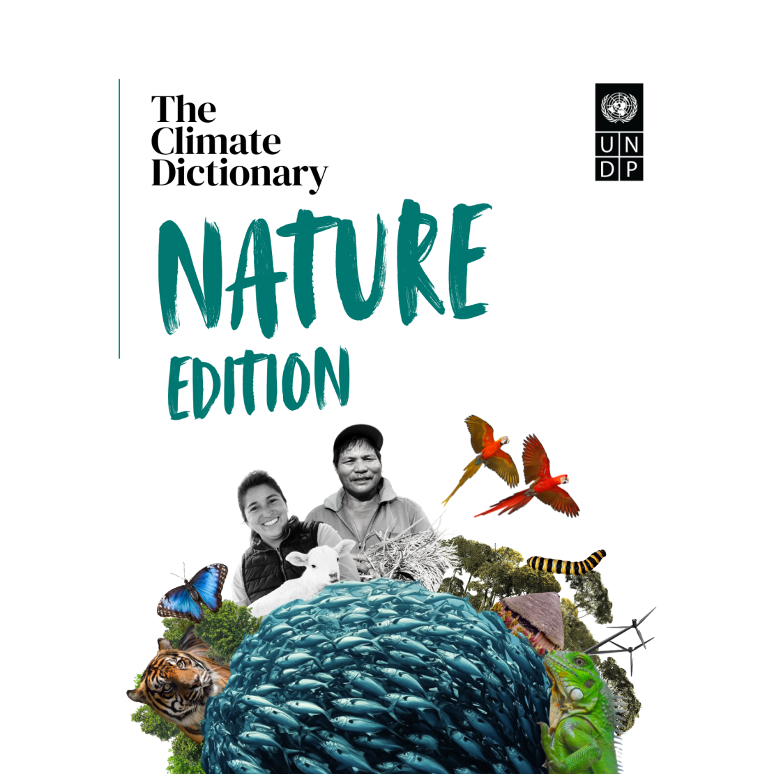 The Climate Dictionary: Nature Edition pocketbook