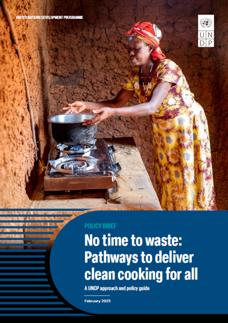 No time to waste: Pathways to deliver clean cooking for all