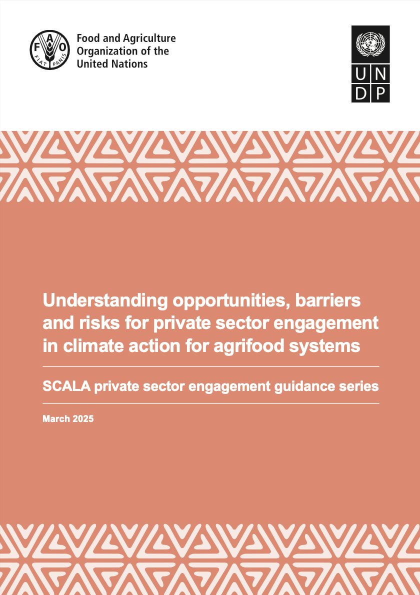 Understanding opportunities, barriers and risks for private sector engagement in climate action for agrifood systems cover