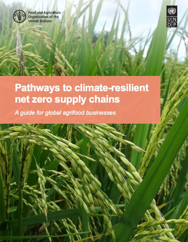 Pathways to climate-resilient net zero supply chains