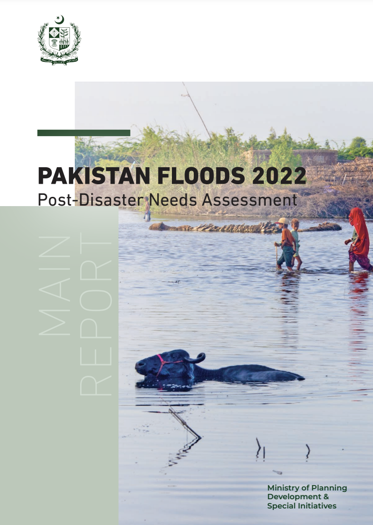 Pakistan PDNA 2022