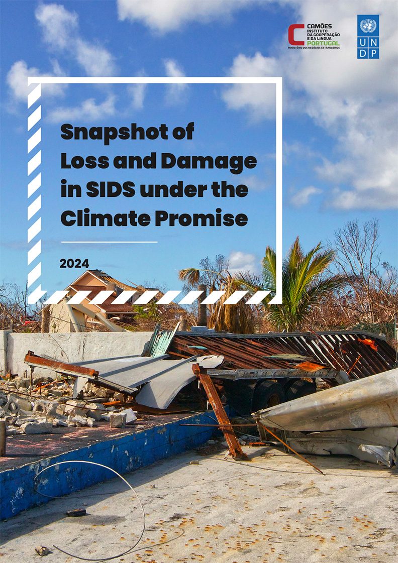 UNDP Snapshot of Loss and Damage in SIDS under the Climate Promise