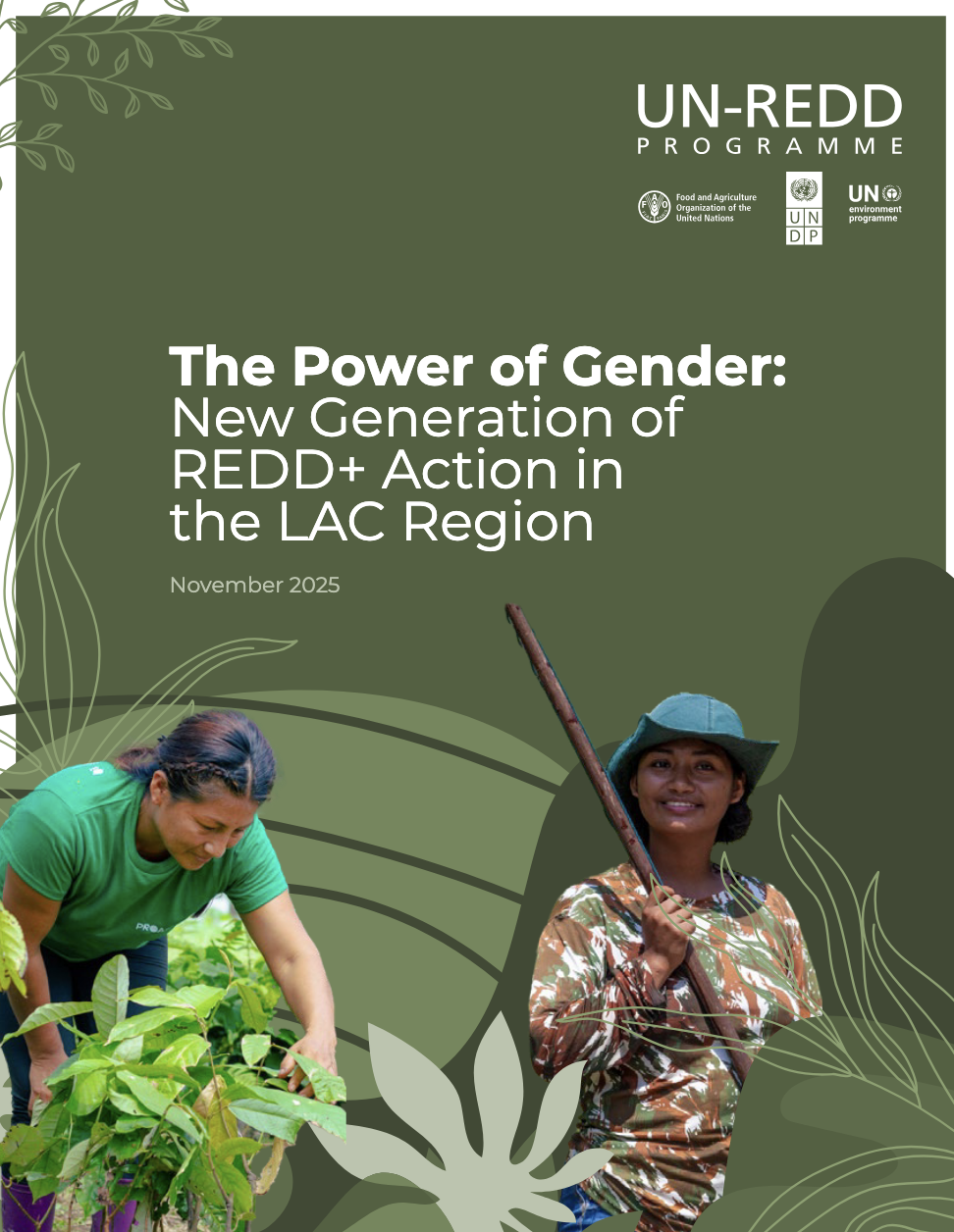 The power of Gender: New Generation of REDD+ Action in the LAC Region