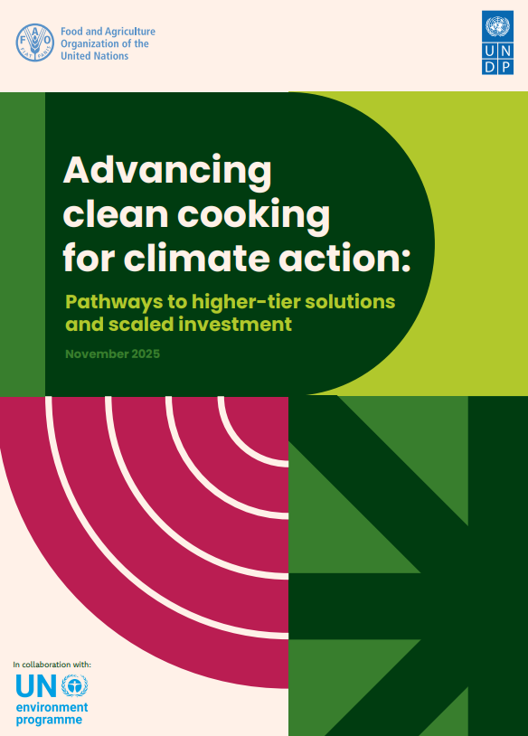 Advancing clean cooking for climate action
