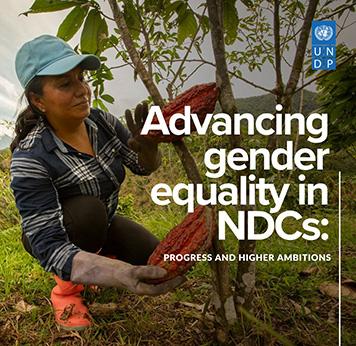 Advancing gender equality in NDCs: progress and higher ambitions