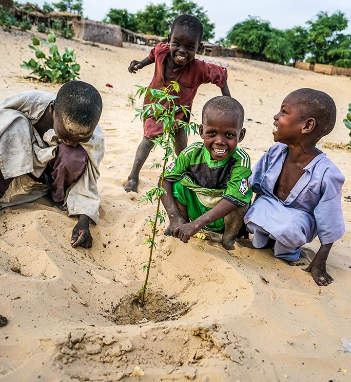 Local communities are fighting against desertification in Lake Chad region