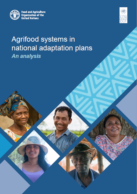 Agrifood systems in national adaptation plans: An analysis