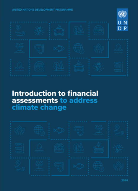 UNDP methodology for assessing Investment and Financial Flows