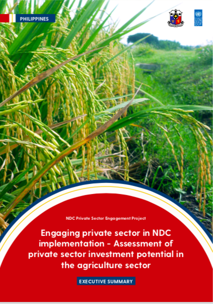 Philippines Private Sector Investment Agriculture
