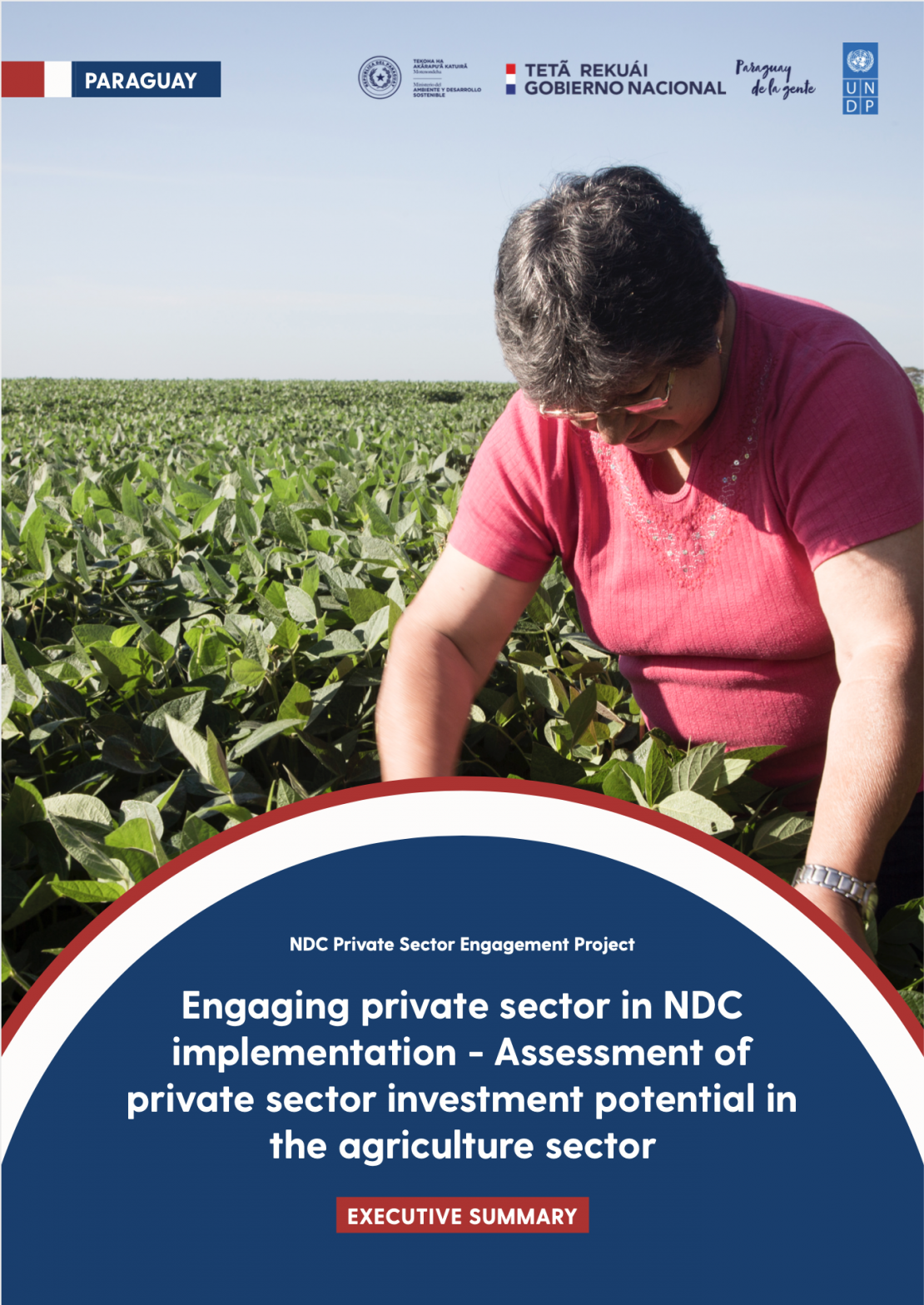 Paraguay private sector investment potential in agriculture sector