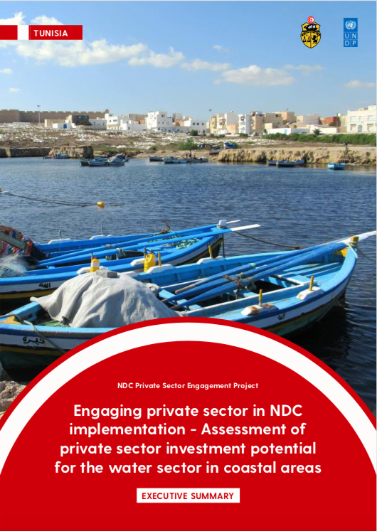 Assessment of private sector investment potential for the water sector in coastal areas