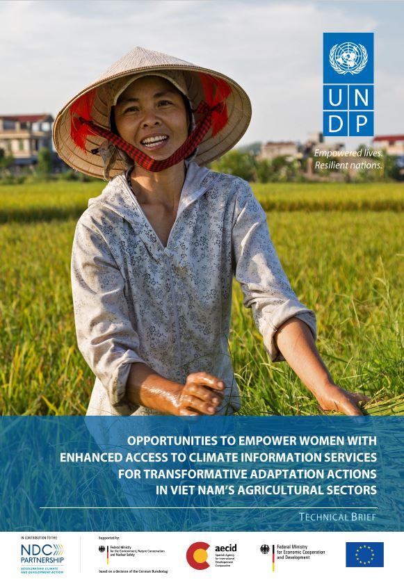 Viet Nam Gender Adaptation Brief